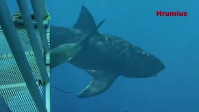 Screenshot_2015-12-22-18-27-00