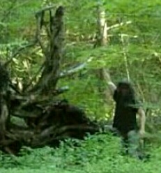 Screenshot_2015-11-29-05-52-07