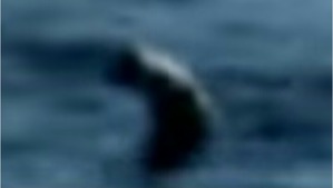 Screenshot_2016-04-01-04-33-55