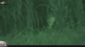 Screenshot_2015-12-07-11-50-00