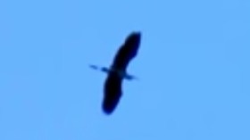 Screenshot_2015-10-26-03-51-28