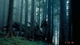 Screenshot_2015-11-21-16-57-47