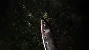 Screenshot_2016-01-27-06-32-11