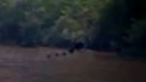 Screenshot_2015-12-04-21-17-12