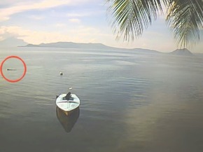 Screenshot_2015-12-01-10-06-36