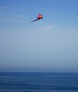 d8aac537.jpg