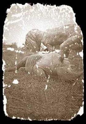 d94d9f3a.jpg