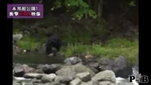 Screenshot_2016-03-13-10-36-46