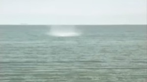 Screenshot_2016-05-27-05-29-15