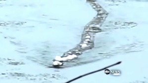 Screenshot_2016-02-19-01-47-39