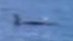 Screenshot_2016-05-27-09-11-09