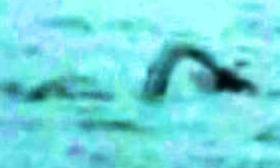 dcf9d599.jpg