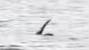 Screenshot_2016-06-29-04-36-20