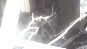 Screenshot_2016-01-25-02-58-42