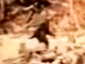 dee9d2b9.jpg