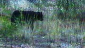 df052767.jpg