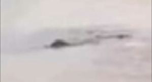 Effectplus_20160412_223457