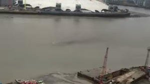 Screenshot_2016-04-01-11-42-34