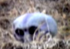 Effectplus_20150913_120108