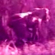 Screenshot_2016-01-18-15-57-17