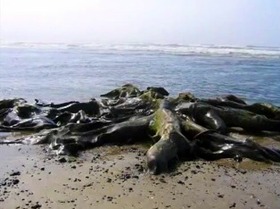 e3226605.jpg