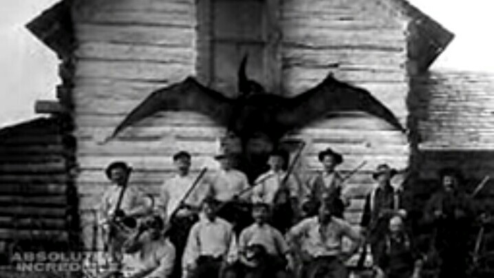 ラドンは実在した！[Rodan is the real!] : 13SHOE・高野十座のブログ