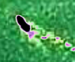 Effectplus_20160510_023800