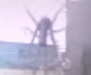 Screenshot_2016-03-04-15-34-44