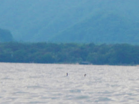 e6fd7555.jpg