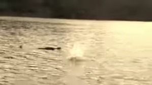 Screenshot_2016-04-10-14-48-35