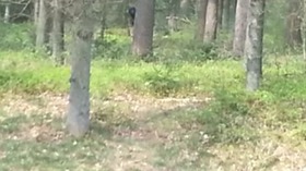 Screenshot_2015-11-18-09-56-55