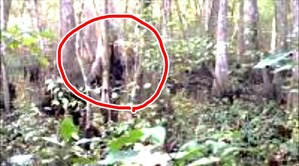 Effectplus_20160314_114552