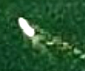 Screenshot_2016-05-10-02-36-48