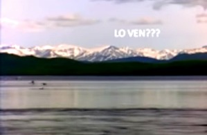 Screenshot_2016-02-14-19-53-37