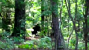 Screenshot_2015-11-29-04-33-46