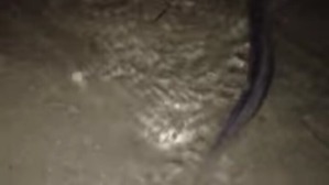 Effectplus_20160219_023356