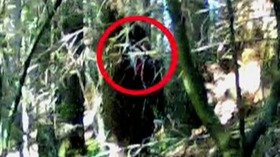 Screenshot_2015-10-28-01-54-15