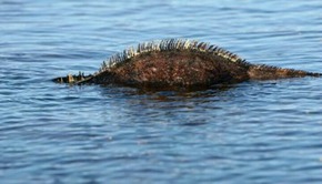 Screenshot_2016-01-26-05-24-00