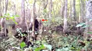 Effectplus_20160314_115358