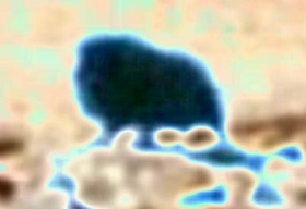 Effectplus_20151119_205337