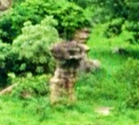 ee547866.jpg