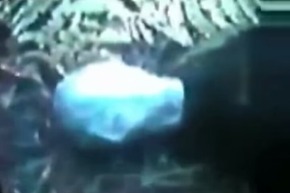 Screenshot_2015-11-28-18-41-32