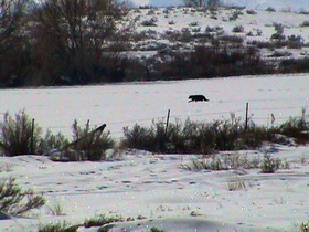 f00063ed.jpg