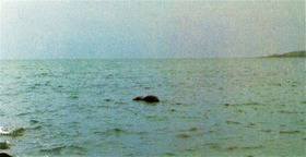 f030c9d9.jpg