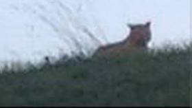 Screenshot_2016-06-14-13-42-13