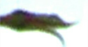 Screenshot_2016-02-19-15-44-13