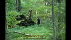 Screenshot_2015-11-29-05-15-04