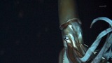 f255d825.jpg