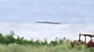 Screenshot_2016-05-11-19-29-37