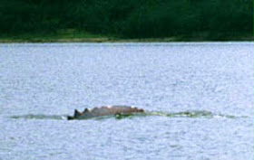 f3384822.jpg